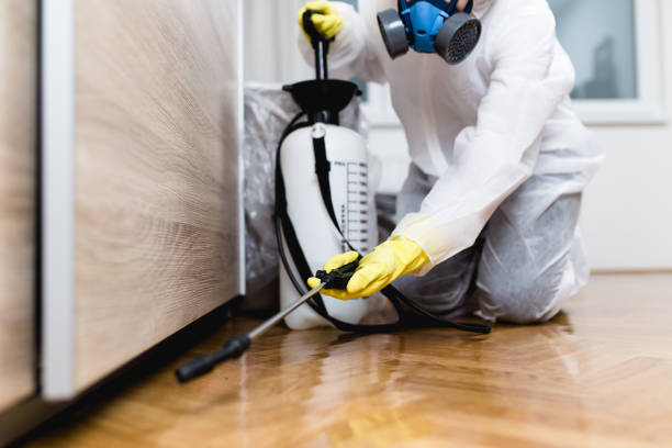 Best Affordable Pest Control Services  in Clyde Hill, WA