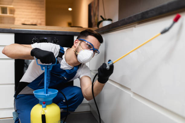 Best Bed Bug Extermination  in Clyde Hill, WA