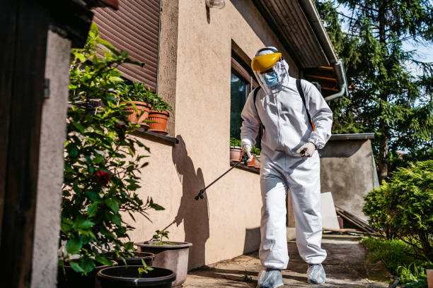 Best Pest Prevention Services  in Clyde Hill, WA