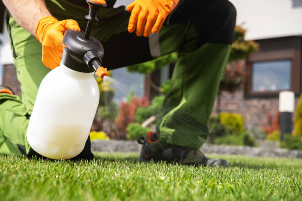Best Rodent Control Near Me  in Clyde Hill, WA