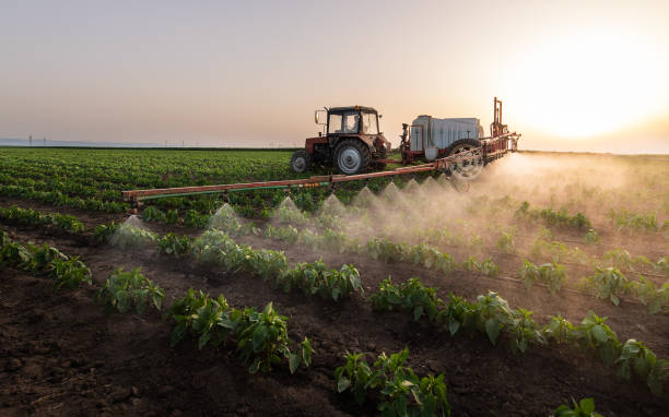 Best Mosquito Control Services  in Clyde Hill, WA