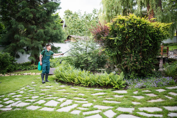 Best Pest Inspection Near Me  in Clyde Hill, WA