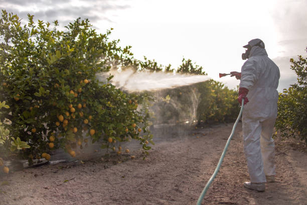 Best Flea Control Services  in Clyde Hill, WA