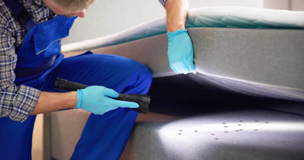 Best Flea Control Services  in Clyde Hill, WA
