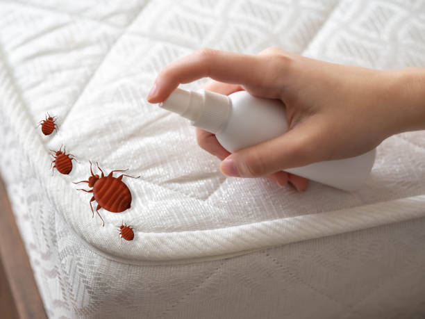 Best Pest Removal Services  in Clyde Hill, WA