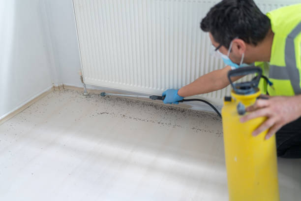 Best Emergency Pest Control  in Clyde Hill, WA